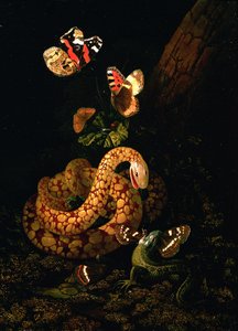 Stilleben med slange